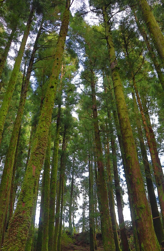 The Azores: A brief tour